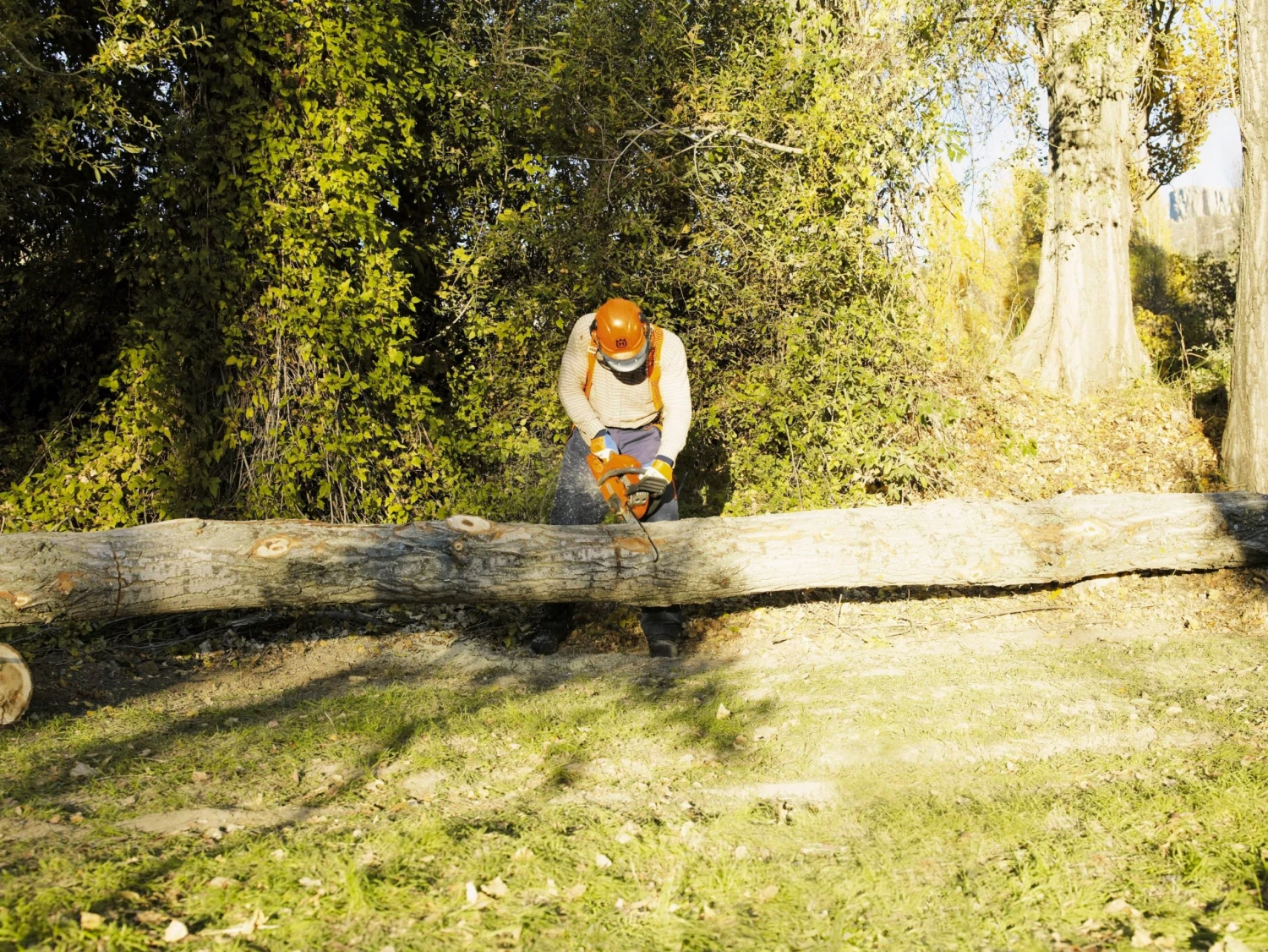 Top 10 ๐คฉ Husqvarna Gas Chainsaws Husqvarna 455 Rancher 20-in 55.5-cc 2-cycle Gas Chainsaw ๐งจ 2 Top 10 ๐คฉ Husqvarna Gas Chainsaws Husqvarna 455 Rancher 20-in 55.5-cc 2-cycle Gas Chainsaw ๐งจ - Image 2