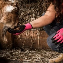 Deals 💯 John Deere Work Gloves FeMens Nitrile Dipped Multipurpose Gloves, Large (1-Pairs) 🔔 -HusqvarnaJohn Deere Sales 45447207 scaled