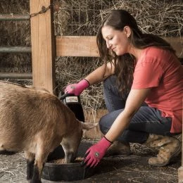 Deals 💯 John Deere Work Gloves FeMens Nitrile Dipped Multipurpose Gloves, Large (1-Pairs) 🔔 -HusqvarnaJohn Deere Sales 45447210 scaled